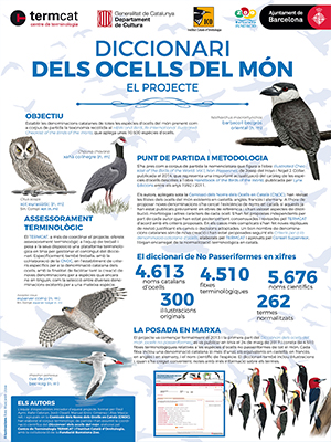 Diccionari dels ocells del món. El projecte
