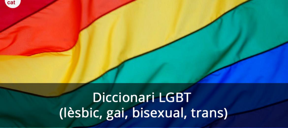 Nou Diccionari LGBT