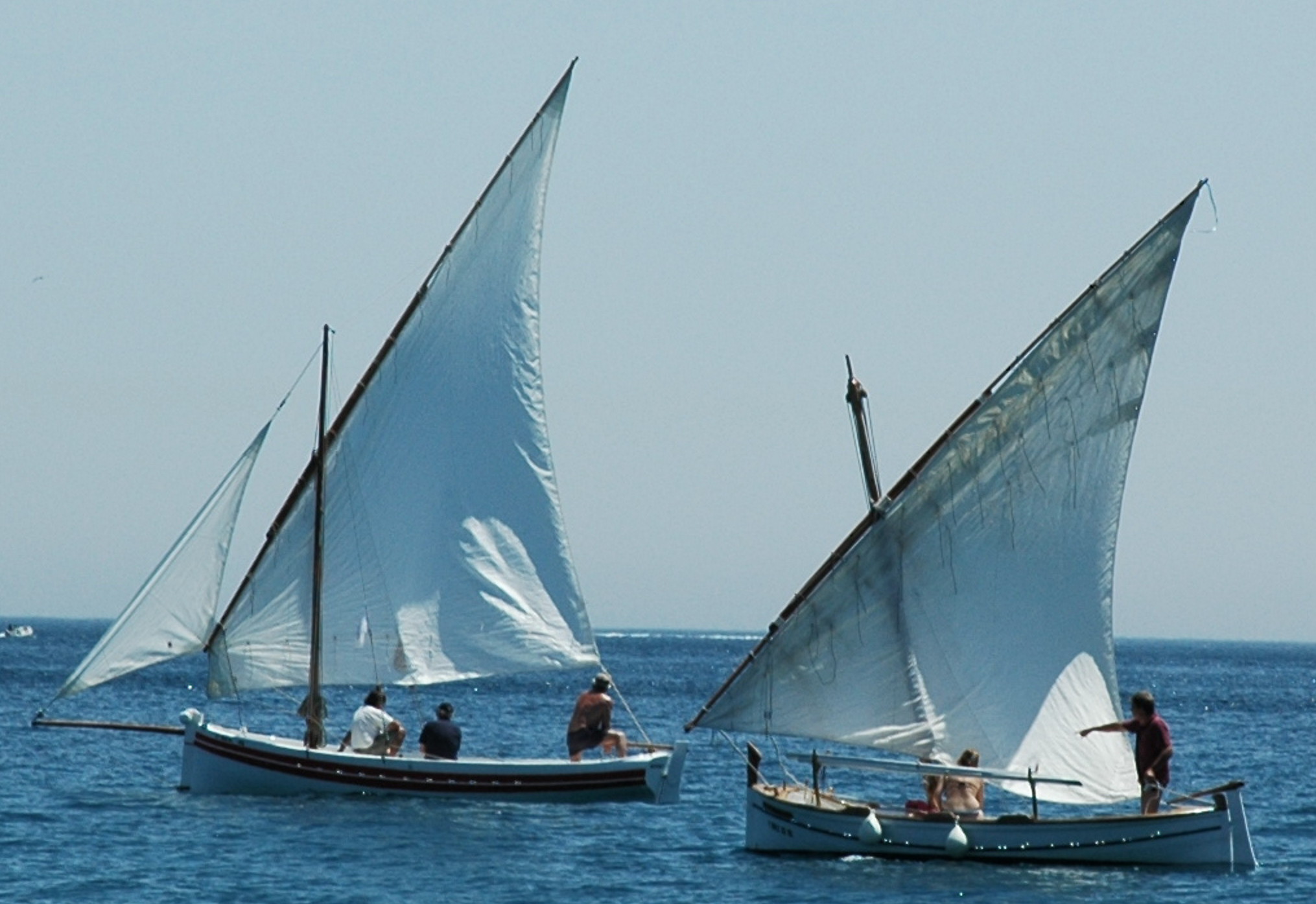 Imatge de resultat en el cercaterm