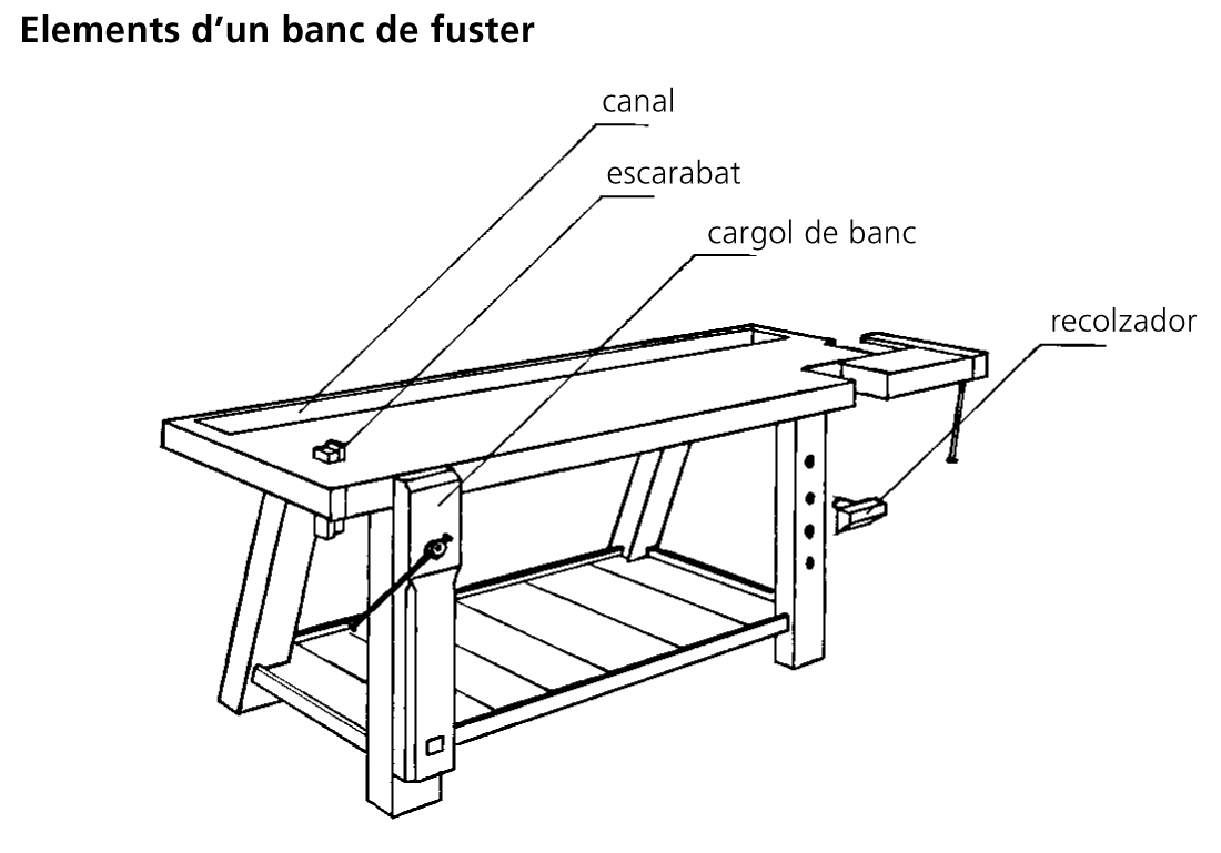 Image from term result on cercaterm