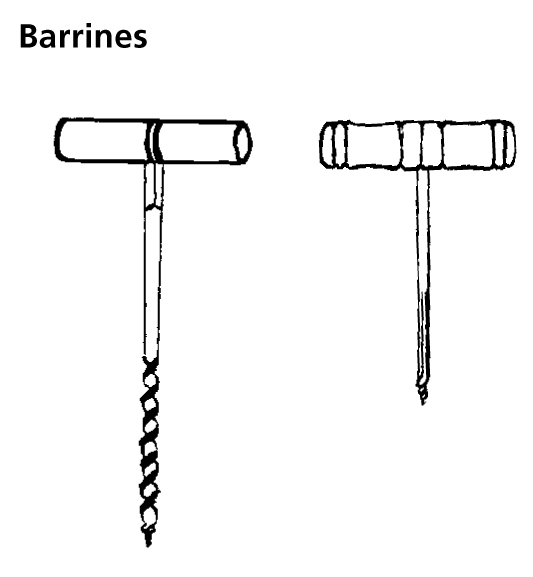 Image from term result on cercaterm