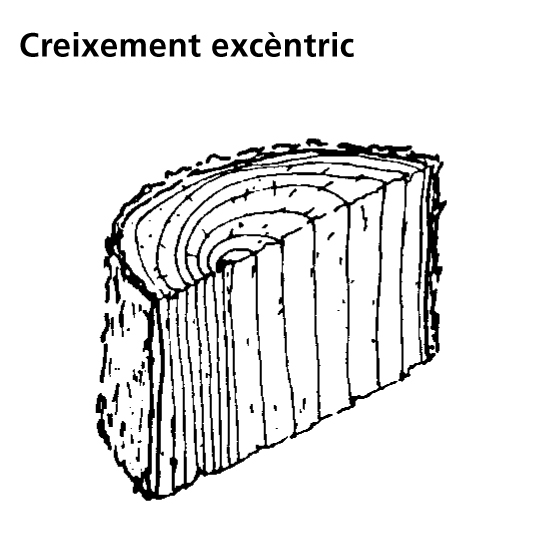 Imatge de resultat en el cercaterm