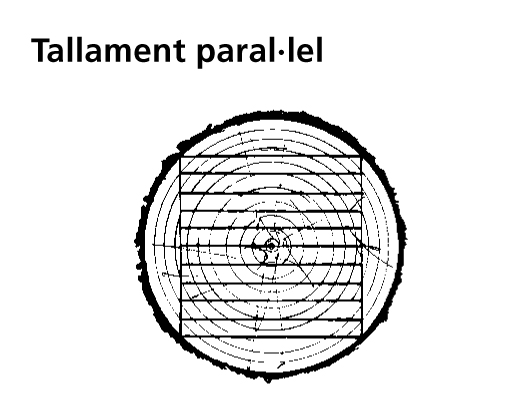 Imagen de un resultado de un térmio del cercaterm