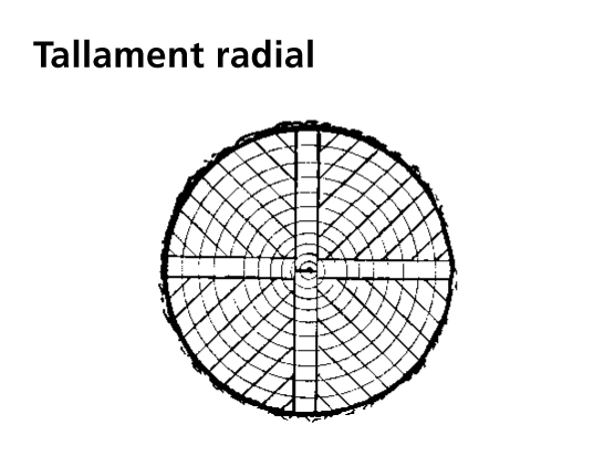 Imagen de un resultado de un térmio del cercaterm