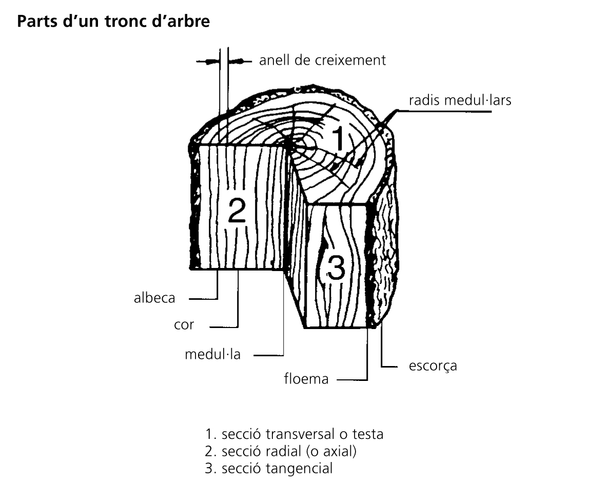 Image from term result on cercaterm