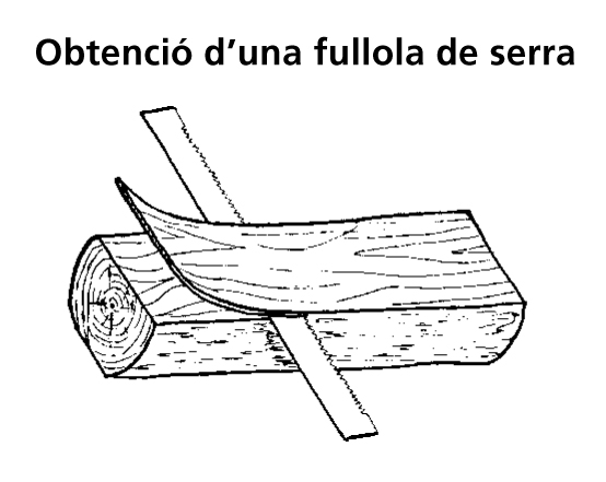 Imagen de un resultado de un térmio del cercaterm