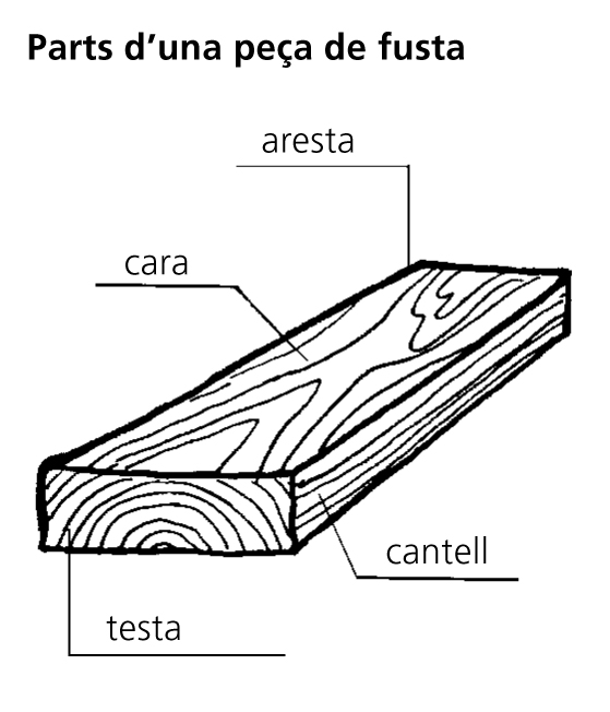 Imagen de un resultado de un térmio del cercaterm