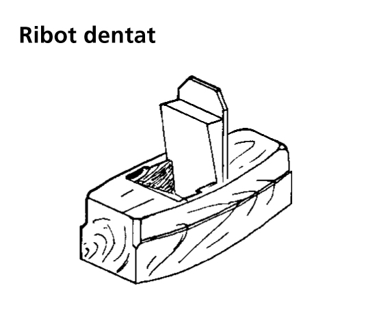 Image from term result on cercaterm