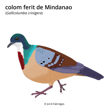Imagen de un resultado de un térmio del cercaterm