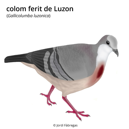 Imagen de un resultado de un térmio del cercaterm