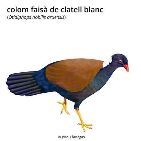 Imagen de un resultado de un térmio del cercaterm