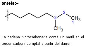 Imatge de resultat en el cercaterm