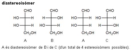 Imatge de resultat en el cercaterm