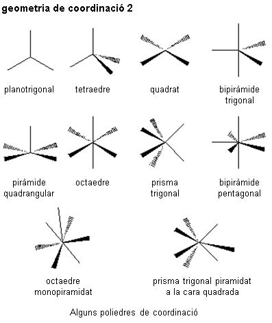 Image from term result on cercaterm