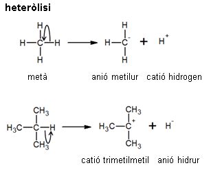 Image from term result on cercaterm
