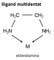 Imatge de resultat en el cercaterm