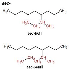 Image from term result on cercaterm