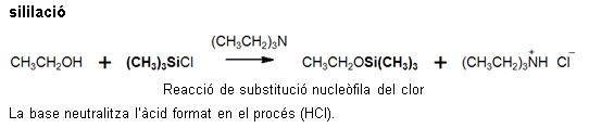 Imagen de un resultado de un térmio del cercaterm