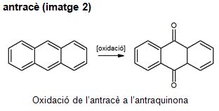 Imatge de resultat en el cercaterm