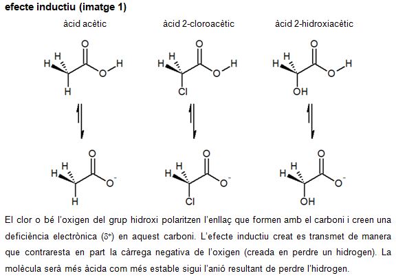 Imatge de resultat en el cercaterm