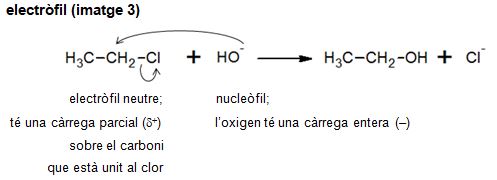 Imagen de un resultado de un térmio del cercaterm