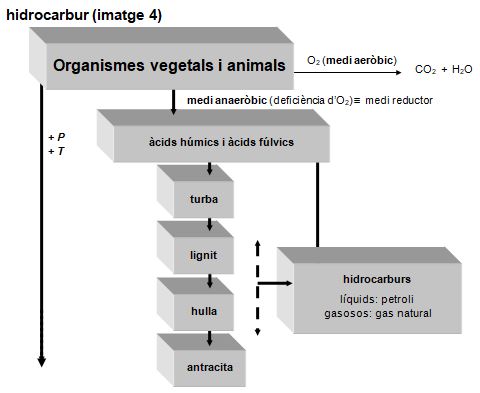 Imagen de un resultado de un térmio del cercaterm