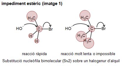 Image from term result on cercaterm