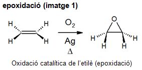 Imatge de resultat en el cercaterm