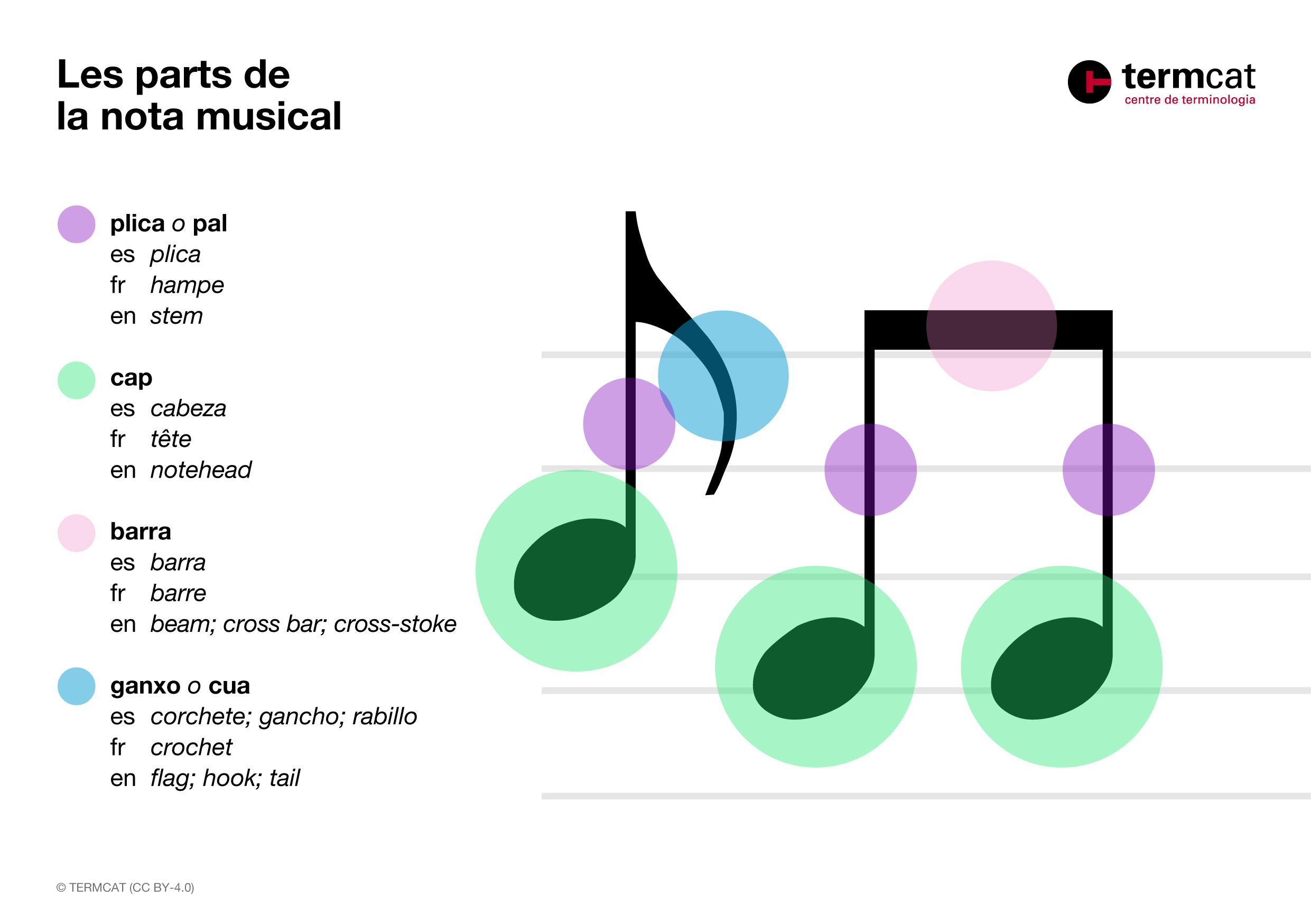 Imatge de resultat en el cercaterm