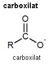 Imagen de un resultado de un térmio del cercaterm
