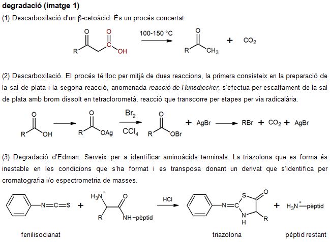 Imagen de un resultado de un térmio del cercaterm