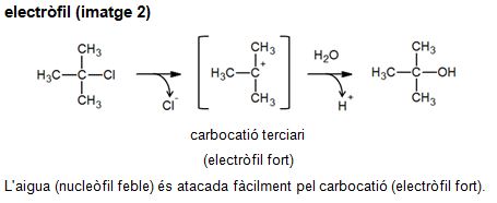 Imagen de un resultado de un térmio del cercaterm