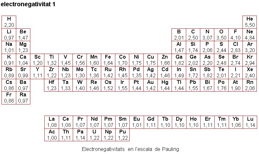 Image from term result on cercaterm