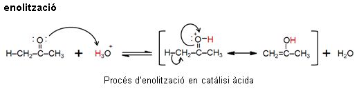 Image from term result on cercaterm