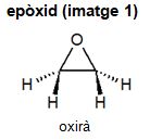 Image from term result on cercaterm