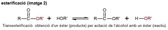 Image from term result on cercaterm
