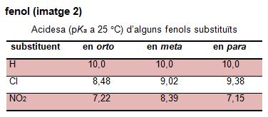 Imagen de un resultado de un térmio del cercaterm