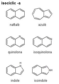 Imagen de un resultado de un térmio del cercaterm