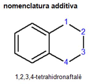 Imatge de resultat en el cercaterm