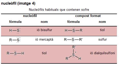 Imatge de resultat en el cercaterm
