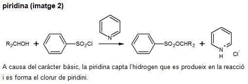 Imagen de un resultado de un térmio del cercaterm