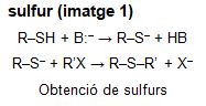 Imagen de un resultado de un térmio del cercaterm