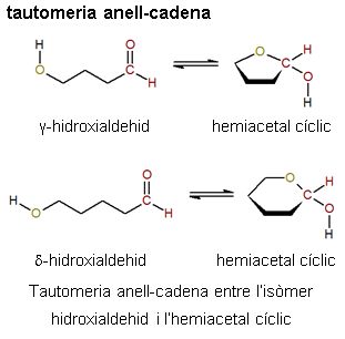 Imatge de resultat en el cercaterm