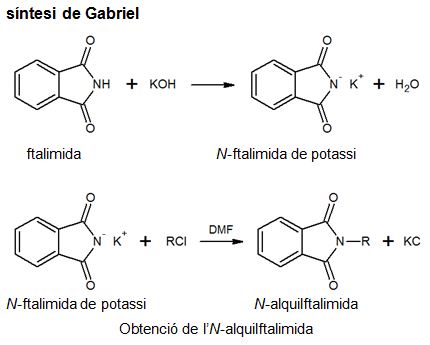 Imagen de un resultado de un térmio del cercaterm