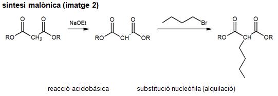 Imagen de un resultado de un térmio del cercaterm