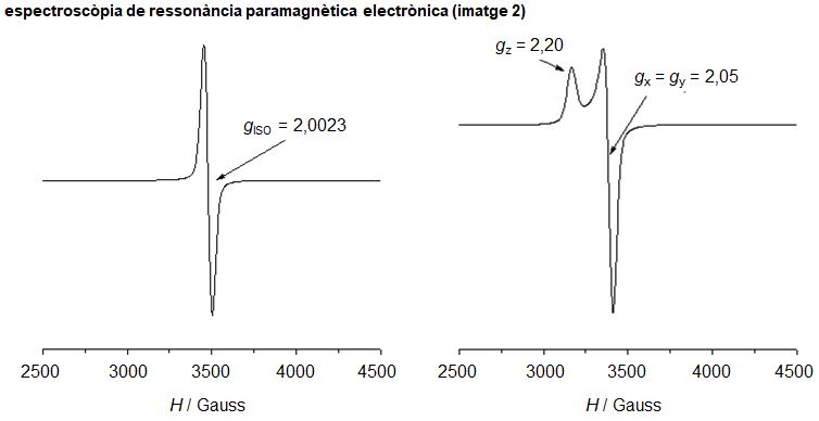 Image from term result on cercaterm