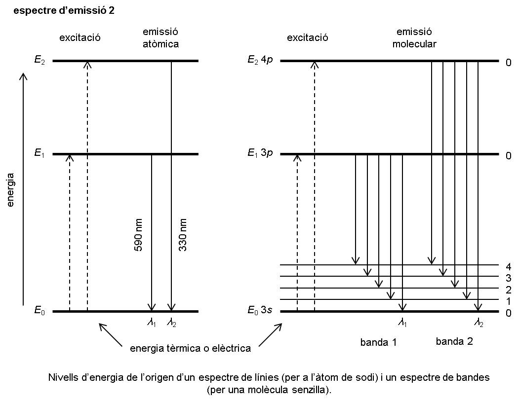 Image from term result on cercaterm