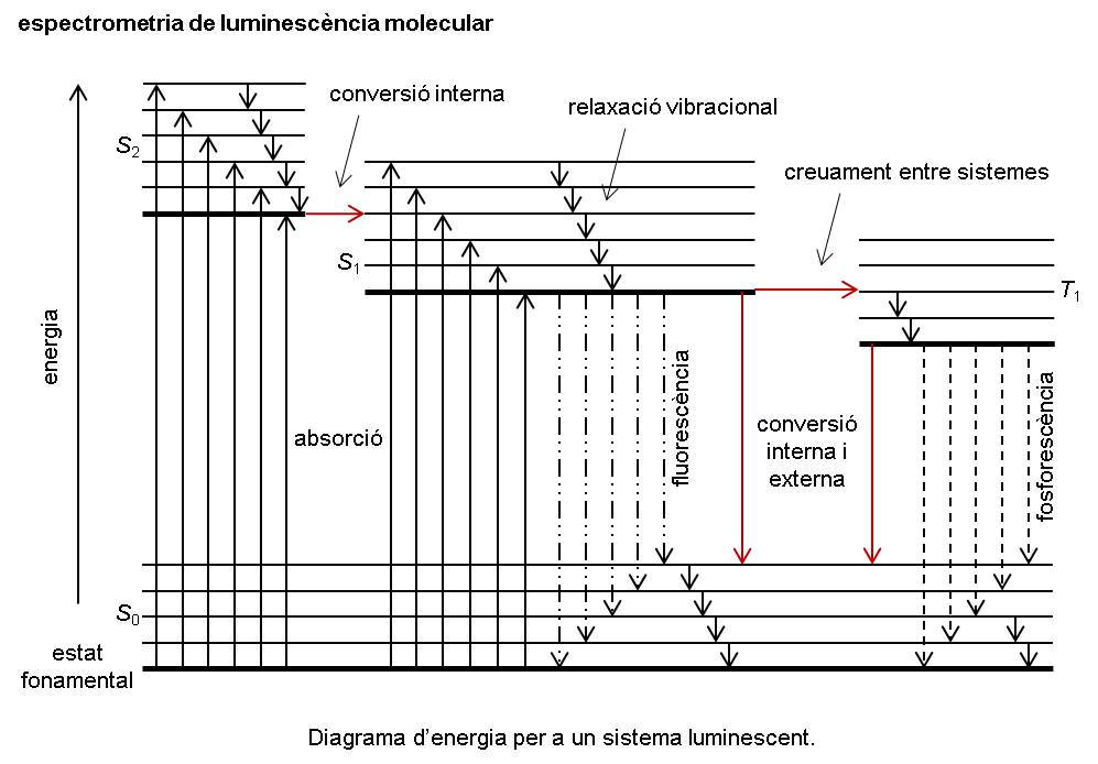 Image from term result on cercaterm