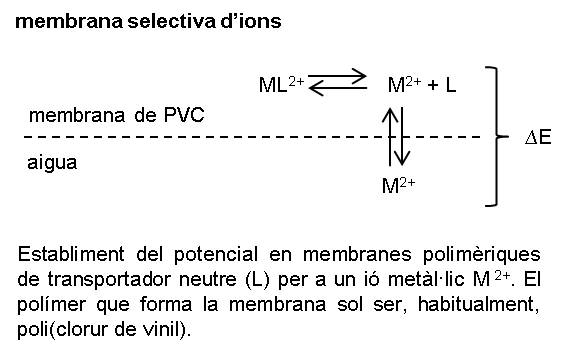 Imagen de un resultado de un térmio del cercaterm