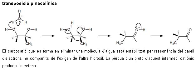 Image from term result on cercaterm